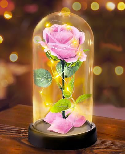 Touloube Geschenke für Frauen zum Muttertag- Premium Rose Blume Geschenk, Ewige Rose im Glas Mit Lichter, 1 Rosa Rose in Glaskuppel, Valentinstagsgeschenk für Freundin Mama Mutter Großmutter Oma