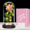 Touloube Rosa Regalo Día de la Madre - Flor Eterna en Seda Rosada con Luz LED y Cúpula Cristal | Detalle Emocional para Mamá, Abuela o Esposa en Aniversarios/Cumpleaños