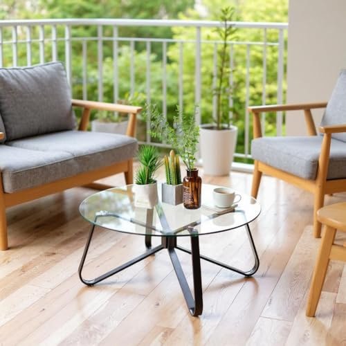 FurnitureR Tables à Manger de Jardin, Design Rond Minimaliste avec Plateau en Verre Trempé de 80 cm, Table Basse en Métal pour Jardin/Balcon/Terrasse/Bistrot/Patio, 80 x 80 x 40 cm