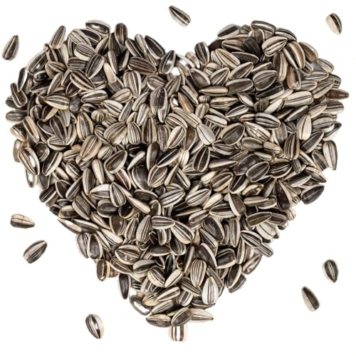 Lyra Pet® | 10 kg Gestreifte Sonnenblumenkerne | HK Bulgarien | Ganzjähriges Wildvogelfutter | Hochwertiges Streufutter für Wildvögel | Naturbelassener Gourmetsnack | Energie für Körnerfresser | Wildvogelfutter für Sommer & Winter - Ideal für freilebende Vögel - Ölreiches Streufutter - Kräftige & gesunde Schnäbel