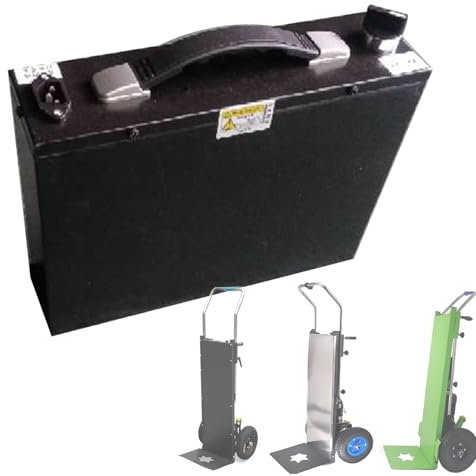 SNBGRYE Batteria per Saliscale - 48V 36AH, Batteria al Litio Rimovibile, Compatibile con Vari Saliscale