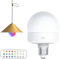 Holdes Bombillas de control remoto, bombillas coloridas con mando a distancia | Bombilla LED de cambio de color – Bombillas magnéticas desmontables, lámpara de iluminación doméstica de larga duración