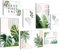 Novart Bilder Abstrakt Figuren Blätter - KOMPLETT AUFHÄNGFERTIG - Beige Weiss Grun Wohnzimmer Schlafzimmer Flur - 7 Moderne Mood-Bilder - N034372a