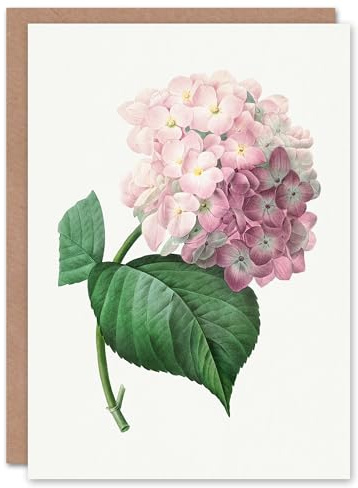 Artery8 Pierre-Joseph Redouté Art Card Hydrangea Vintage Botanical Illustration