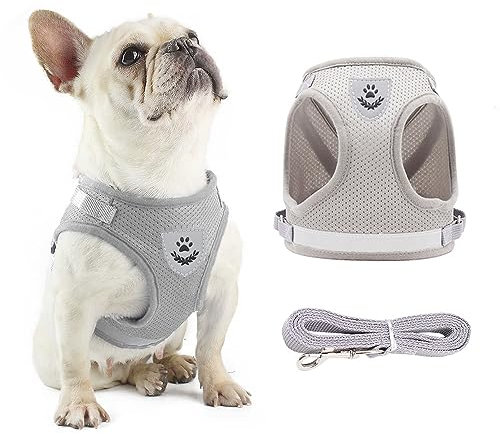 Anlitent Soft Mesh No Pull Cat Harness and Lead Set for Walking, Escape Proof Kitten Vest Harnesses for Small Dogs/Cats/Animals Rabbit, Cool Cat Dog Collar with Leash (Grey, Large)