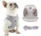 Anlitent Comfort No Pull Dog Vest Harness and Lead Set Escape Free, Breathable Dog Vest Service Harnesses for Puppy Seat Belt for Puppies Small Puppies Outdoor Easy Comtrol Large