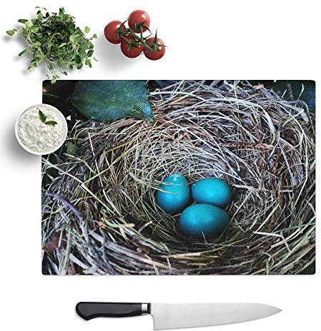 Kitchen Chopping Board Glass - Birds Nest Duck Egg Blue - Textured Worktop Saver Cutting Board - Heat Resistant, Shatterproof and Hygenic - 28.5 x 20 cm