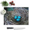 Kitchen Chopping Board Glass - Birds Nest Duck Egg Blue - Textured Worktop Saver Cutting Board - Heat Resistant, Shatterproof and Hygenic - 28.5 x 20 cm