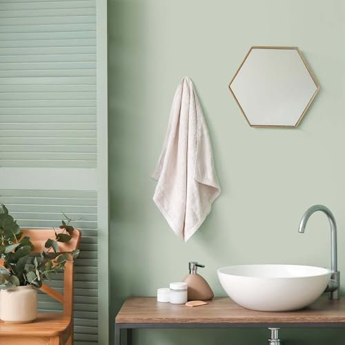 K&L Wall Art Pintura de pared mate para interiores, color verde, protección de pared moderna, 5 litros