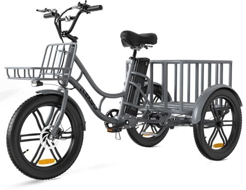 ELEKGO 20 Zoll E Bike Dreirad, 48V 18AH abnehmbare Batterie Tragfähigkeit 200 KG, Fettreifen + hinterer Gepäckkorb und Scheinwerfer, Lastenfahrrad, Elektro-Dreirad für Reichweite bis zu 40-60Km (Gray)