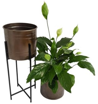 KUHEIGA Pflanztopf mit Ständer/Metallkübel auf Ständer, Höhe 69cm - Ø: 26cm, Kupfer Blumentopf Kübel