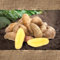 FLORTUS Gartenkartoffel Bamberger Hörnchen (festkochend) (BIO Gartenkartoffeln), Menge (Gramm, Kilogramm):1 kg