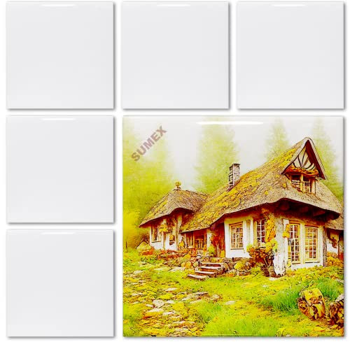 Sumex Piastrelle in ceramica per lavori artigianali, 6 pezzi, bianco lucido, piastrelle in ceramica per pressa a caldo (10 x 10 cm)