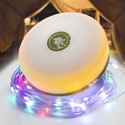ELLASAY Camping Lichterkette, Außenlichterketten mit 8 Beleuchtungsmodi, 30s Wiederherstellung, Langlebig und Wasserdicht, USB-Ladung - 9M Tragbare Campinglampe für Camping, Garten und Weihnachtsdeko