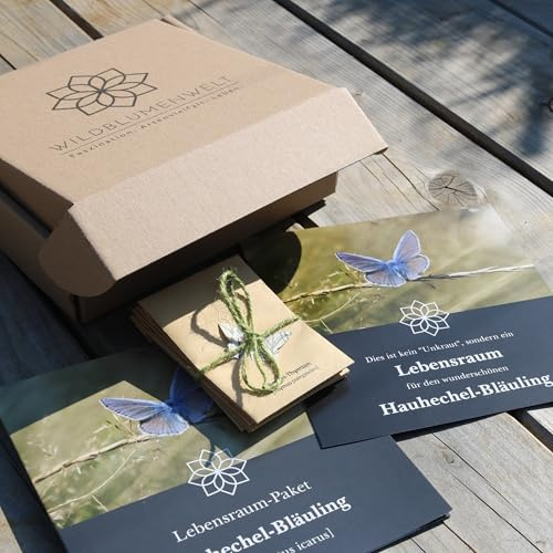 Schmetterlings-/Lebensraum-Paket Hauhechel-Bläuling [Polyommatus icarus] | Nahrungspflanzen für Schmetterling & Raupe | einzigartige Geschenkidee (5x Geschenk-Box mit Saatgut)