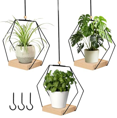 3 Stück Blumenampel Hängend Innen, Blumenampel Mit Hölzernen, Hängetopf Für Pflanzen, Hängende Pflanzgefäße Aus Metall, Hängeblumentopf Mit Holzsockel, Für Innen Außen Terrasse Balkon Sukkulenten