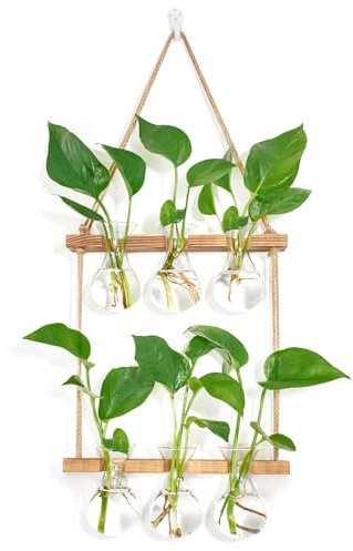 XXXFLOWER Wandbehang Pflanze Anzuchtstation mit Holzständer 3 Blumenzwiebeln Vase 2 Etagen Glas Pflanzer Stationen für Vermehrung Hydrokultur Pflanzenstecklinge Haus Garten Hochzeit Dekoration