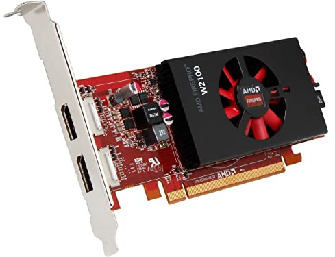 Dell Firepro W2100 Grafikkarte