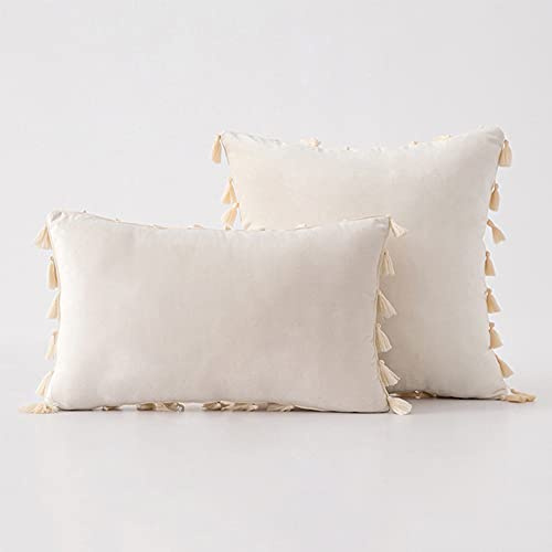 Bestenrose 2er Set Samt Kissenbezug mit Quaste Kissenhülle Dekorative Dekokissen Kissen Couchkissen Sofakissen für Wohnzimmer Schlafzimmer (30x50cm, Beige)