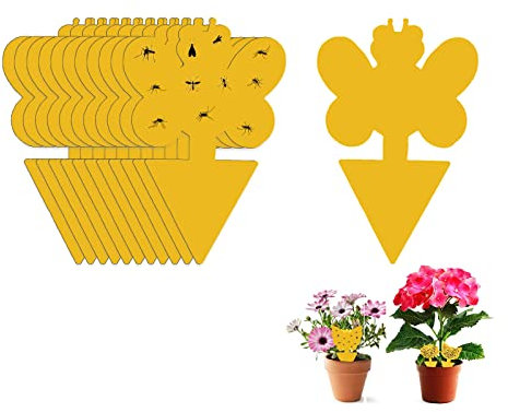 SagaSave-Obstfliegen Haftfalle, 24 Stück Pilz-Moskito-Falle Insektenfalle, gelbe Etikettenschutzanlage Küche Indoor Outdoor Fang Weiße Fliegen Moskito-Pilz fliegende Insekten Zimmerpflanze (Biene)