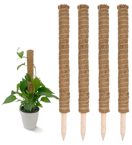 Spetebo Kokos Rankstab 60 cm Natur - 4 Stück - Pflanzstab für Zimmerpflanzen – Blumen Pflanz Stab Topf Rankhilfe Kletterhilfe Kokosstange für Kletterpflanzen