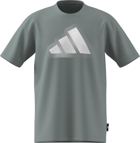 adidas Men's MODERN Essentials Graphic T-Shirt, Wonder Sage, 3XL