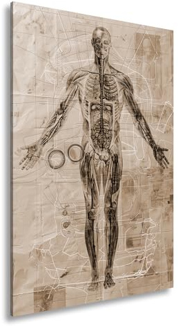 Leinwandbild Anatomie auf Pergament – Kunst trifft Wissenschaft. Format: 100x70cm Effekt: Sepia XXL Kunstdruck Bild auf Keilrahmen/Wandbild/Wohnzimmer Dekoration