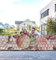 MyMaxxi Infinity Zaunsichtschutz - blühende Ballerina Blumen - Sichtschutzstreifen für Doppelstabmattenzaun - Windschutz Sonnenschutz Blickdicht - Sichtschutz Garten Teil2-250x100cm