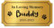Engraved Plaques Personalised Memorial Plaques for Doors Urns Solid Metal Plate Engraved 2x4in Name Plate Name Label Plaque with Adhesive Backing (Gold, Design 2)