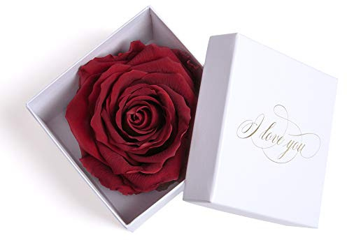 Infinity Rose in Burgundy konserviert weiße Rosenbox mit Goldschrift I LOVE YOU Geschenk für Frauen und Freundin als Liebeserklärung (1 Rose, Weiß-Dunkelrot)