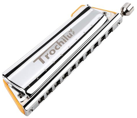 JDR Trochilus Chromatische Mundharmonika 10 Löcher Chromonica Tonart G Armonica Valveless Harp Mundharmonika mit Etui für Erwachsene Profis Anfänger (Chromatisch/Solostimmung Tonart G)