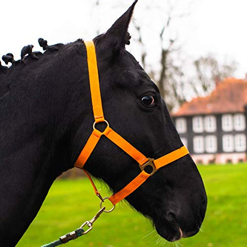 Halfter für Pferd Warmblut, Vollblut, Kaltblut – Stallhalfter, Weidehalfter, 2 Fach verstellbar an Kinnriemen und Genickstück, sicher & reißfest (Orange, Pony)
