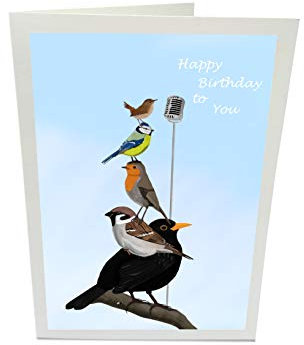 Geburtstagskarte Glückwunschkarte The Backyard Birds Amsel Spatz Rotkehlchen Blaumeise Zaunkönig Vogel Zeichnung Happy Birthday mit Umschlag