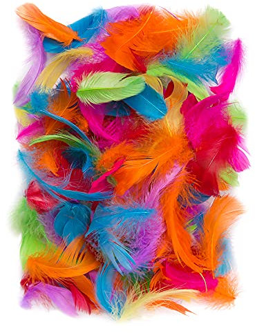 Netuno 150 Stück Deko Federn Mehrfarbig 10g Flaumfedern Schmuckfedern Vogelfedern Bastelfedern Natur für DIY Basteln Dekoration Ostern Weihnachten Dekofigur