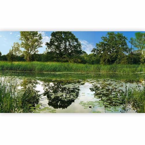 murando Photo Wallpaper Lake 500x280 cm /196.85 x 110.24 inches XXL Non-Woven Premium Art Print Fleece Wall Mural Decoration Poster Picture Design Modern c-A-0101-x-b