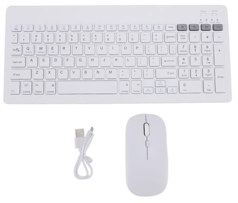lvifloae 4 Channel Dual Mode Keyboard Set Bluetooth Mouse and Keyboard Set Rechargeable Full Size Numeric Keypad Compatible with 7 8 10 Pro Air Tablets (White)