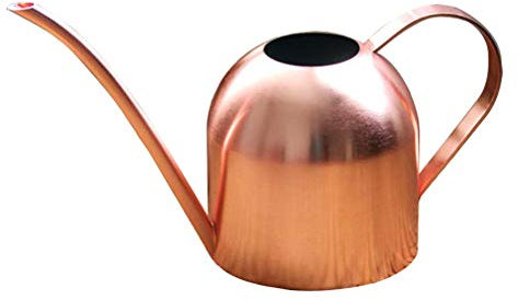 Yardwe 1PCS rame annaffiatoio piccolo annaffiatoio per interni ed esterni casa piante 1000 ml
