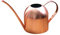 Yardwe 1 regadera de cobre pequeña para plantas de interior y exterior, 1000 ml