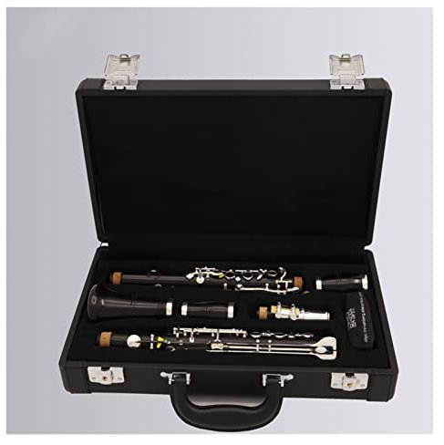 PECY Professionelle Ebenholz Klarinette G Ton 20 Tasten Woodwind Instrument Klarinetten Instrumente (Color : 01)