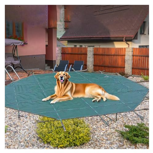 PEYNIR Pool Cover Poolabdeckplane Winter-Poolabdeckung für die Sicherheit von Haustieren und Kindern Rund Ersatznetzabdeckungen für Einbaupools zum Schutz vor Schmutz Betonboden(6m/19.7ft)