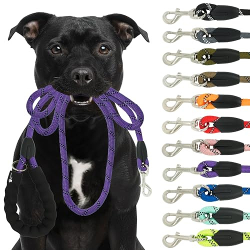 Reichstadt Pets Hundeleine 25RSP084 Purple 1,5m | Weiches Nylon mit EVA-Griff, reflektierend, drehbarer Metallhaken | robuste Führleine für kleine, mittelgroße, große Hunde
