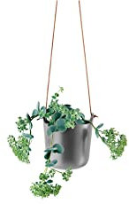 EVA SOLO | Selbstbewässernder Topf hängen Nordic Grey | Selbstbewässernder Kräutertopf | Nordic Grey