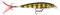 Rapala XR08PEL