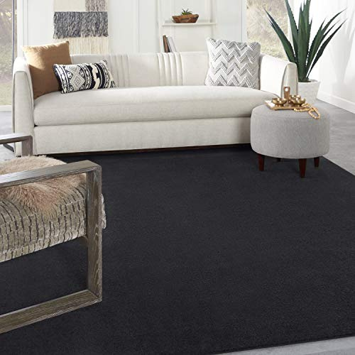 Nourison Home Nourison Essentials Black 7' x 10' Area Rug - Easy Clean, Non Shedding, Bed Room, Living Room, Dining Room, Kitchen (7' x 10')