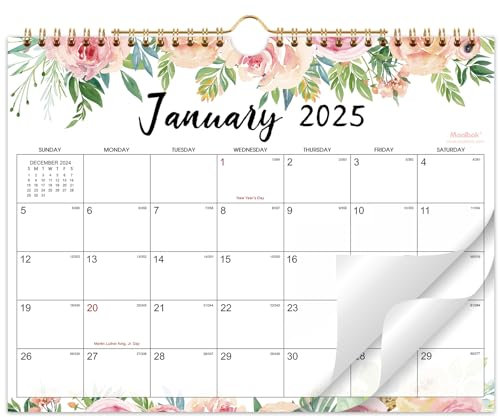 Kalender 2025-2026 - JUL 2025 - DEC 2026, Wandkalender 2025-2026, 27,9 x 21,6 cm, 18 Monate Wandkalender, Schreibblöcke, Julianische Daten, Spiralbindung