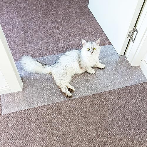 Carpet Protector for Pets Cat Carpet Protector for Doorway, Anti Scratch Under Door Cat Scratch Protector Mat, Easy to Cut Plastic Stopper (Clear, 3.6FT-2pack)