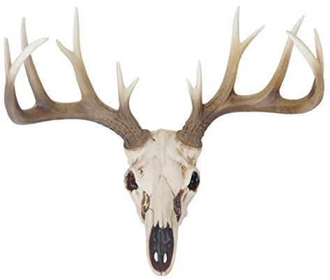 Mendler Deko Schädel AM 58cm, Polyresin Hirschgeweih Kopf Trophäe, In-/Outdoor