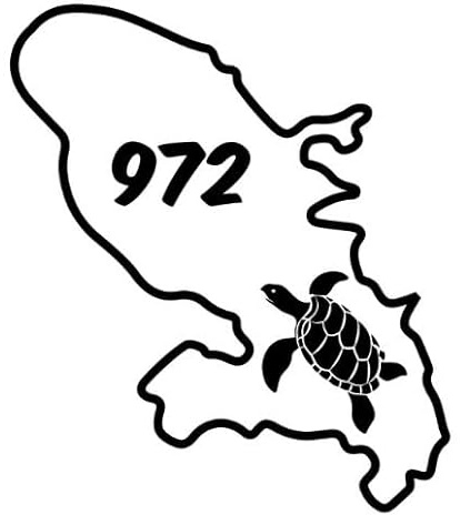 Sticker voiture Martinique 972 avec tortue – Autocollant DOM TOM – Déco voiture/maison – Coloris & dimensions au choix