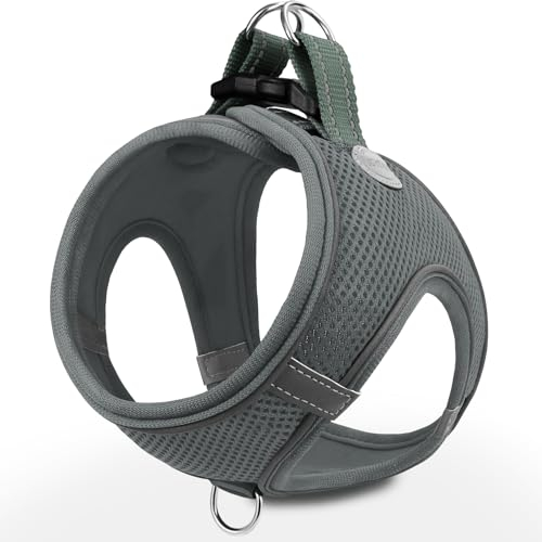 Joytale Hundegeschirr, Reflektierend Weich Gepolstert Hunde Geschirr, Air-Mesh Atmungsaktiv Brustgeschirr für Katze Welpen, Kleine Hunde, XXS, Grau