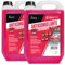 Antigelo Auto 10% Protezione -5ºC | 10 Litri | Liquido Radiatore Rosso